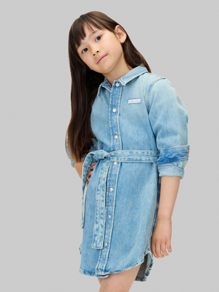 Calvin Klein Denim Shirt Dress